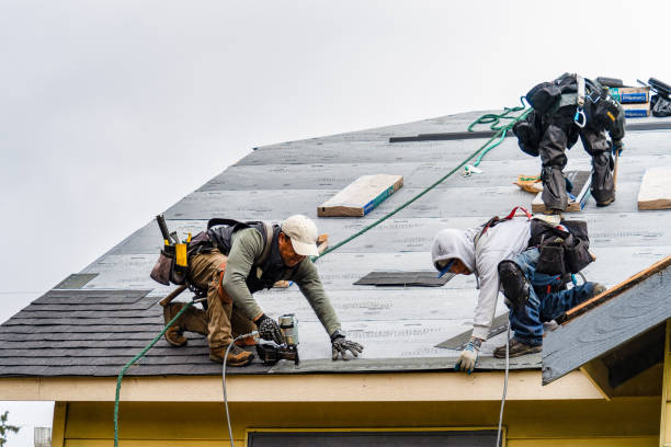 Professional Roofing technician working in Hilbert, WI